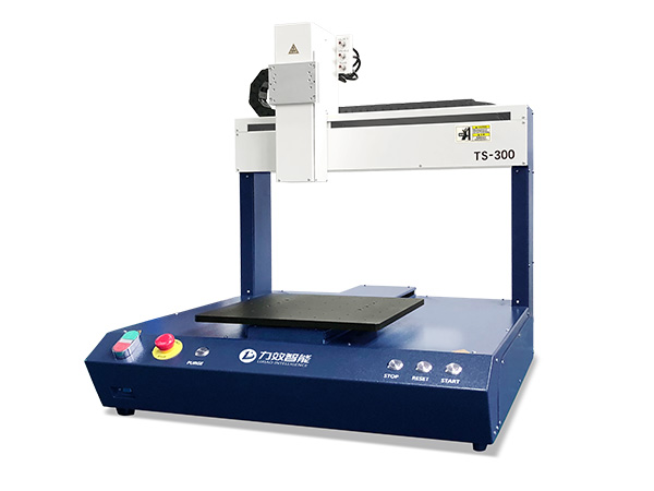 TS-300